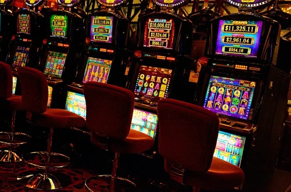 erek erek togel Terms & Conditions for erek erek togel